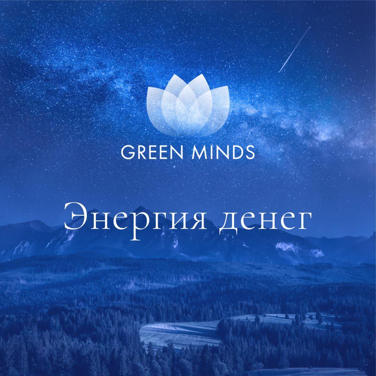 Нейромедитация GREEN MINDS «Энергия денег» по цене 330 руб. - купить в  Чистополе ☛ Доставка ★ Интернет-магазин «EcoGreenDom»